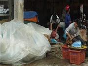 Bóng đá anh, ngoại hạng anh, lịch thi đấu euro 2012, “Lập lờ” đá sạch, nước “tinh khiết”